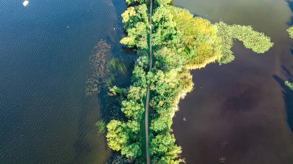 Drohnenaufnahme Des Weges Auf Dem Damm Polderwasser Von Oben Landschaft — Stockfoto