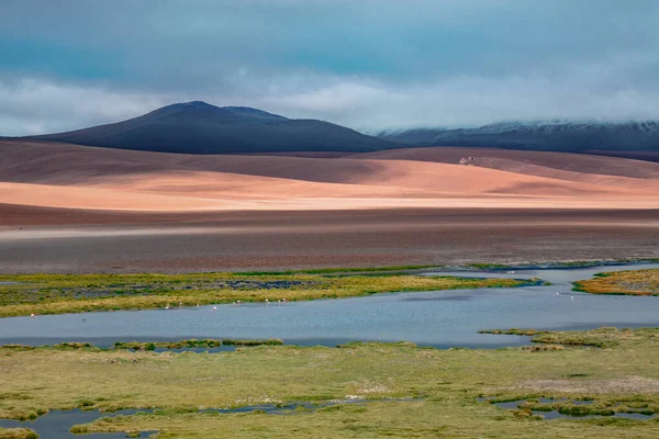Atacama Wüstensavanne Berge Und Vulkanlandschaft Chile Südamerika — Stockfoto