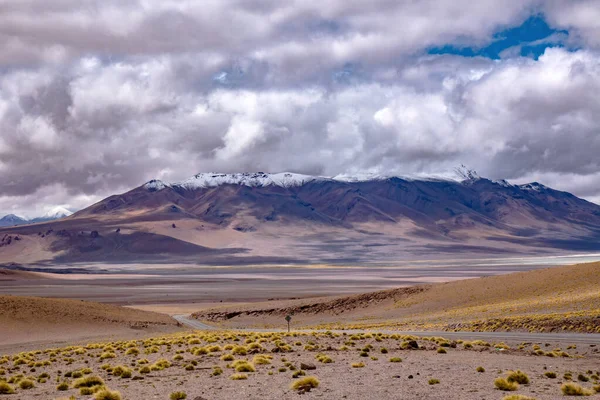 Atacama Έρημο Σαβάνα Βουνά Και Ηφαίστειο Τοπίο Χιλή Νότια Αμερική — Φωτογραφία Αρχείου