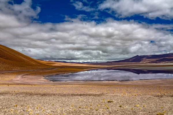 Atacama Έρημο Σαβάνα Βουνά Και Ηφαίστειο Τοπίο Χιλή Νότια Αμερική — Φωτογραφία Αρχείου