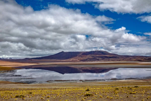 Atacama Έρημο Σαβάνα Βουνά Και Ηφαίστειο Τοπίο Χιλή Νότια Αμερική — Φωτογραφία Αρχείου