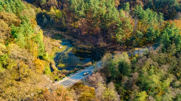 从空中俯瞰秋天的风景和道路 从空中俯瞰黄色 绿色和红色的金秋树木 俯瞰乡间小路 — 图库照片