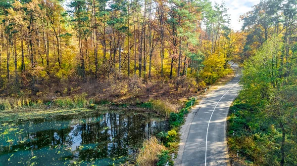 Flygdrönare Syn Hösten Landskap Och Väg Uppifrån Gul Grön Och — Stockfoto