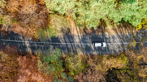 Dron Lotu Ptaka Widok Jesienny Krajobraz Drogi Góry Żółty Zielony — Zdjęcie stockowe