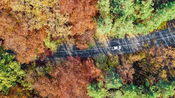 Αεροφωτογραφία Drone Του Φθινοπώρου Τοπίο Και Δρόμο Από Ψηλά Κίτρινο — Φωτογραφία Αρχείου