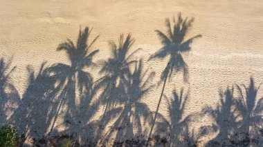 Yukarıdan tropikal plaj, deniz, kum ve palmiye ağaçları, Tayland plaj manzarası için drone görüntüsü