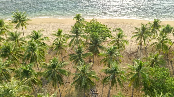 Αεροφωτογραφία Drone Της Τροπικής Παραλίας Από Ψηλά Θάλασσα Άμμο Και — Φωτογραφία Αρχείου