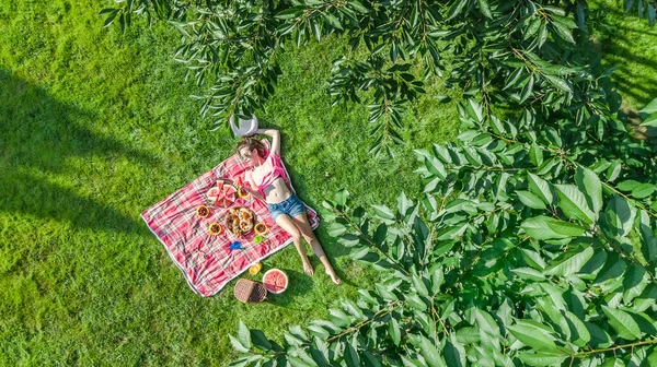 美丽的年轻女孩在草地上放松 有夏季野餐在公园户外 空中无人机视图从上面 — 图库照片