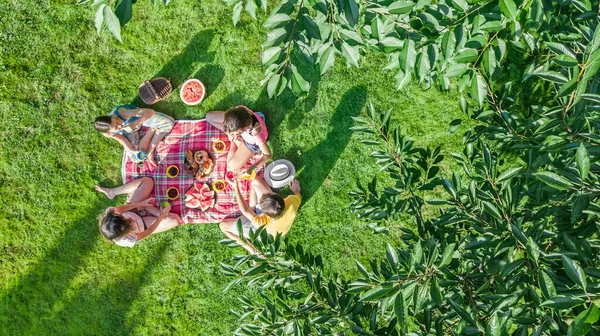 公園でピクニックをしている子供たち 庭の芝生に座って健康的な食事を屋外で食べる子供たち 上からの空中ドローンの景色 家族の休暇と週末のコンセプトを持つ幸せな家族 — ストック写真