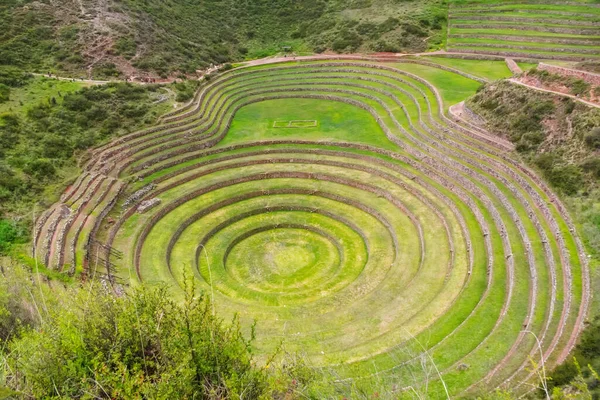 Tarasy Rolnicze Inca Sacred Valley Moray Sacred Valley Peru Ameryka — Zdjęcie stockowe