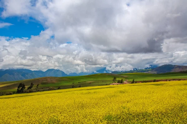 Beautiful Landscape Fields Meadows Mountains Peru South America — Stock Photo, Image