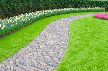 Hollanda 'da parkta güzel renkli bahar çiçekleri (Hollanda)