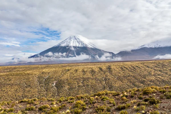 Landskap Dalen Med Vacker Utsikt Över Bergen Patagonien Chile Sydamerika — Stockfoto