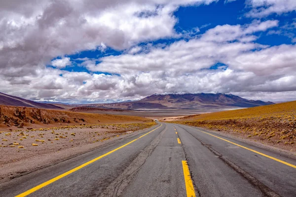 Road in Atacama desert savanna, mountains and volcano landscape, Chile, South America