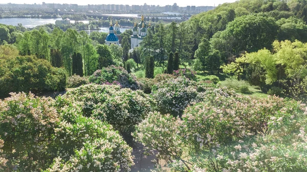 Flygfoto Ver Kiev Stad Och Botaniska Trã Dgã Rden Park — Stockfoto