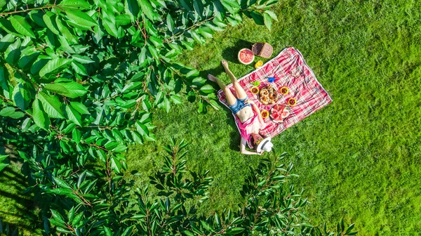 Güzel Genç Kız Yaz Pikniği Park Açık Havada Çimenlerin Üzerinde — Stok fotoğraf