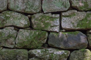 Yosun kaplı taşlar..