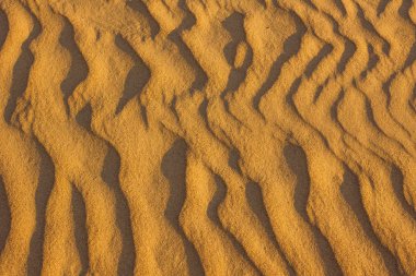 Kum, çöl, kum tepeleri.