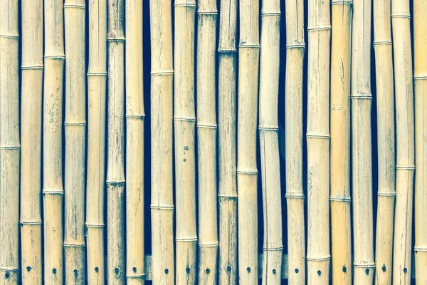 Textur der trockenen Bambusstämme. — Stockfoto