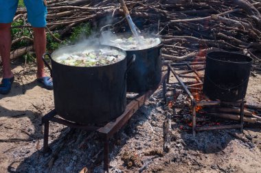 Camping, picnic, lunch.