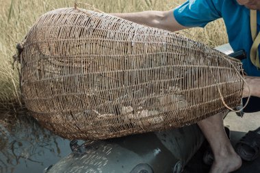 Kıyıda balık tutmak için büyük bir hasır. El işi, dallardan yapılmış eski bir cihaz. Lastik teknedeki bir balıkçı balığı yakalar. Yaz günü, güneşli aydınlatma.
