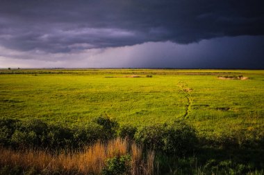 Yeşil alan, çimler, çayırların arasındaki patika. Burada kimse yok. Kara fırtınalı gökyüzü, bulutlar toplanıyor. Bir fırtına yaklaşıyor, tehdide yaklaşıyor. Yaz günü.