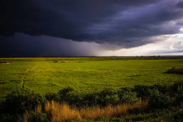 Ciel Noir Sombre Dramatique Nuages Prairie Verte Herbe Été Haut — Photo