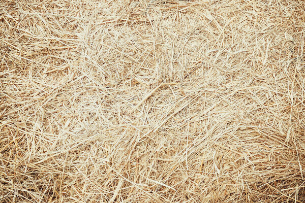 Dry grass, straw even layer. Life in the countryside, organic products, subsistence farming. Solar lighting, vignetting, muted tone.