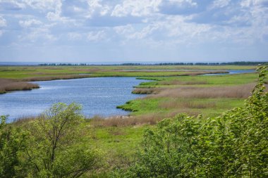 Yaz günü, her şey yeşil. Uzakta, göl, gökyüzünü yansıtır. Kırsal kesimde, şehirden uzakta. Güneş ışığı.