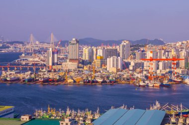 Busan limanı, limanda gemiler. Uzakta yüksek binalar, bir köprü, tepeler var. Kıyıda bir sürü gemi var. Akşamın erken saatlerinde, güneşli aydınlatma.