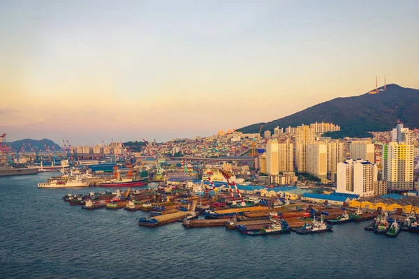 2019 釜山パノラマ 日没で表示されます 港にはたくさんの船がある 海岸にある背の高い建物は 距離の丘 山です 水からの眺め — ストック写真