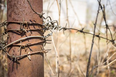 Özel alan, korunan bölge. Demir çubuk, dikenli tel, çit, yasak. Gün ışığı, arkaplan bulanık.