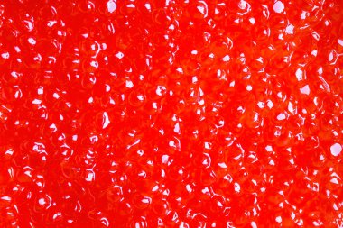 Parlak kırmızı, turuncu balık havyarı. Lezzetli bir aperatif, faydalı bir protein ürünü..