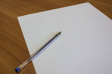 Martılar yerden havalanır. Uçuşun başlangıcı, bakış açısı. Yaz günü, güneşli aydınlatma.