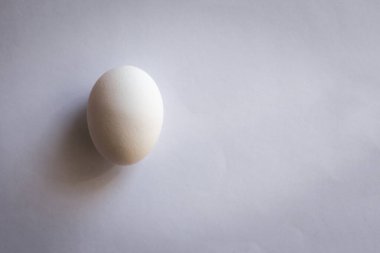 Başla, örnek al, temiz çarşaf. Çevresindeki gerçekliğe uyum sağlama yeteneği. Gün ışığı, vignetting, kopyalama alanı.