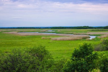 Sakin bir manzara, kırsal, yaz, akşam. Yeşil çimenler, ağaçlar, nehirden uzakta. Hava bulutlu. Sulu, parlak renkler, yaz ortası.