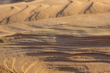 Sarı, bej rengi kum, doğal doku. Kum tepecikleri, soyutlama. Güneş ışığı, arka plan bulanık.