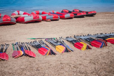 Rafting için nehir salları ve kürekler. Yaz etkinliği, spor, yarışma, takım oluşturma. Güneşli yaz günü.