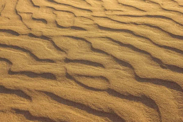 Gele Zandige Ondergrond Sahara Gobi Lateraal Zonlicht Avond Golfstructuur — Stockfoto