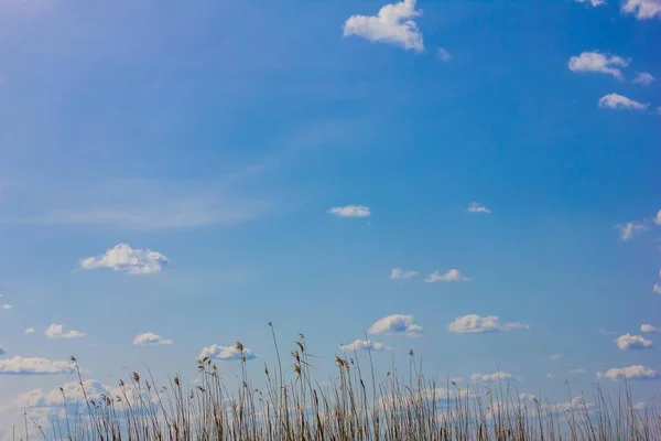 Cielo Azzurro Brillante Piccole Nuvole Giornata Sole Fondo All Erba — Foto Stock