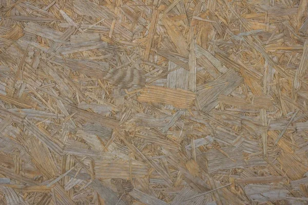 Spokojna Neutralna Powierzchnia Bez Wzoru Drewniane Tło Trociny Sklejka Skrawek — Zdjęcie stockowe