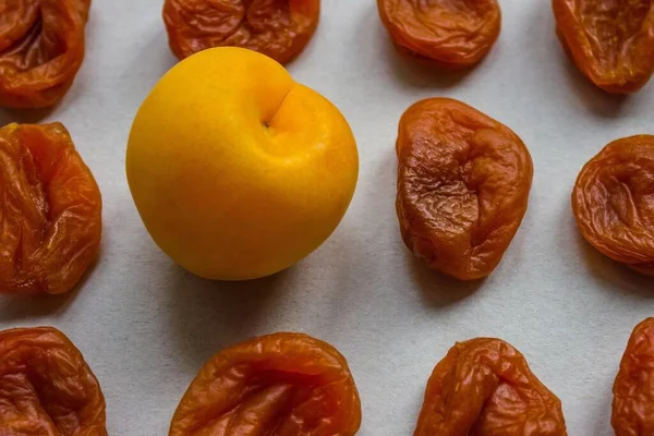 Old Shriveled Wilted Dry Apricots One Fresh Juicy Bright Beautiful — Stock Photo, Image