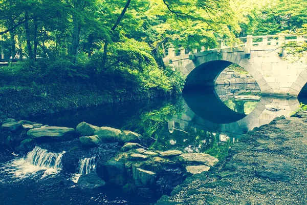 City Park Green Area Trees Leaned Water Background Gray Bridge — Stock Photo, Image