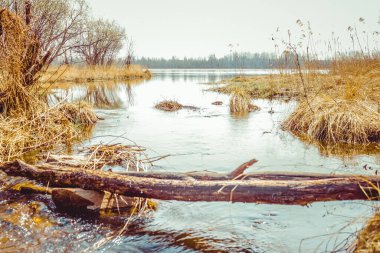 Sessiz bir yer, nehir, göl. Kuru ot ve ağaçların kıyısında. Huzur, doğayla uyum. Balık tutmak, şehir dışında tatil. Sıcak tonlama.