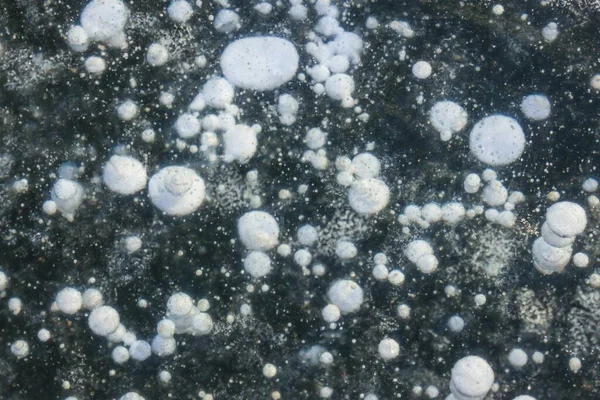 黒い背景の白い円 カオス 分子運動 上からの眺め — ストック写真