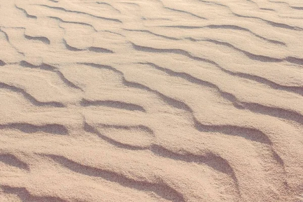Легкий Бежевый Песок Необычная Структура Волнистые Линии Пустыня Сахара Гоби — стоковое фото