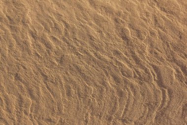 Arkaplan sarı kum, büyük kum taneleri. Küçük çizgiler, dalgalı çizgiler. Yan ışıklandırma.