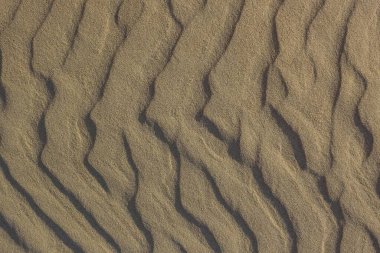 Kum dokusu, kum tepecikleriyle dolu bir yüzey. Kahverengi, gri tonlar. Yan ışıklandırma.