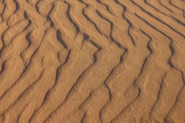 Желтая Коричневая Пустыня Песчаные Дюны Вид Сверху Спокойное Вечернее Освещение — стоковое фото