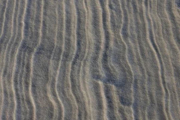 Calma Textura Neutra Paisaje Natural Arena Tonos Grises Líneas Verticales —  Fotos de Stock